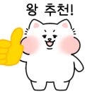 슈블리펫살롱 이미지