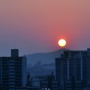 군민체육관