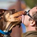 한강동물병원 이미지