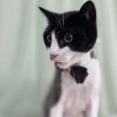 지개동산 이미지