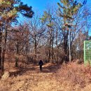 용댕이매운탕 이미지