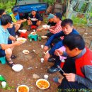 백운산 솔밭 앞 이미지