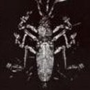 (주)제이아이디 이미지