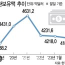 외환 보유액 추이 이미지