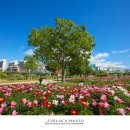 태화강국가정원 이미지