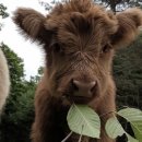 복실방앗간 | 공시생 일기 | 2025.10/29 - 11/7