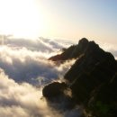 황산야채
