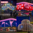 바라길 | 명동 볼거리 2025 명동 신세계백화점 서울 크리스마스 미디어파사드 시간 트리 보는 위치