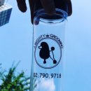 그루밍 105 이미지