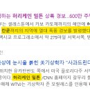 아르떼인터내셔널