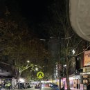 킹스마트 | 호주 시드니 자유여행 2｜도착 후 숙소 예약 후기, 킹스크로스 에어비앤비 &amp; 근처 맛집·마트