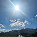 돌팀이횟집 이미지