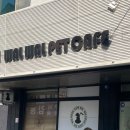 왈왈이 (무실점) 이미지