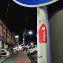 남파랑쉼터 안내소 | 남파랑길 87,88코스 완도해조류센터-완도타워-부꾸지-구계등해변-상왕봉-완도수목원-완도대교 여행기록