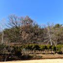 산장가든 티스토리
