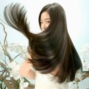 아씨미용실 - 서귀포시 서문로 8 | 아씨미용실