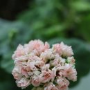 Atti(아티) 네이버블로그