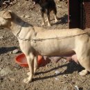 한치농장 이미지