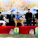 애견전람회 이미지