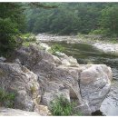법수치통나무산장