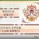 인플레이 | 포켓몬스터 울트라썬·울트라문 도감 완성+후기