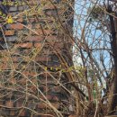 둘리쌍문공원 세심천 이미지