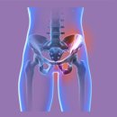 SEESAW GYM(시소짐) 이미지