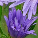 화성반월중학교 이미지