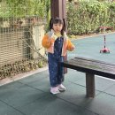 1177 | +1177 그래놀라 걸 코어