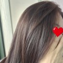 정염색방