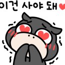 지와이모터스 이미지