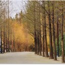 고산골 4 이미지