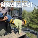 양양 놀거리 레포밸리 짚라인 숲속기차 엑티비티 초등체험 이색체험