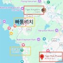 만 마리의 호랑이 | [푸켓 아이랑 추천 일정 ] 4살 아이랑 타이거킹덤 대신 타이거파크 스몰 호랑이 체험 가격정보