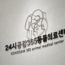 진접동물병원 이미지