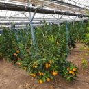 병식농장 이미지