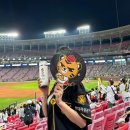 키스코 | 2024년 6월 20일 기아타이거즈 vs LG트윈스 직관 3루 K5석
