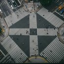 머슬빌런 이미지