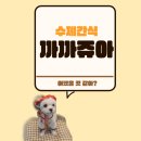 까까쥬아 이미지