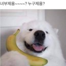 월 이미지