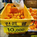 서귀동-31 이미지