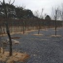 큐브존 캠핑장 이미지