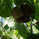 산우 농장 이미지