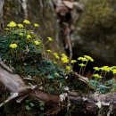 광덕3로3 이미지