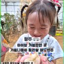 북일초등학교 | [청주]아이랑 가볼만한 곳, 가을나들이 끝판왕 버드앤쥬