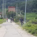 수목관리 이미지