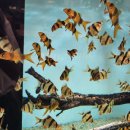 불당동문화카페거리 | 천안 불당동 카페거리 핫플✨ 아쿠아카페 디스커스 후기