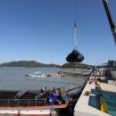 해남군-15 이미지