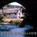 영국 영화 서머 스토리(A Summer Story) 이미지