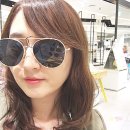 다홀릭